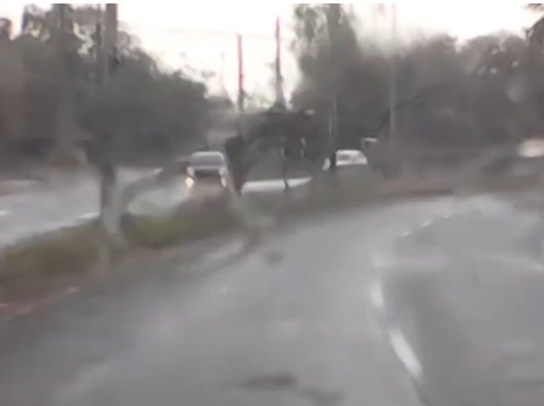 Conductor perdió el control de su vehículo y ocasionó un mortal triple choque en zona del Botánico