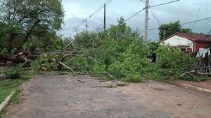 Barrio San Antonio, uno de los más golpeados por el temporal - Concepción al Día