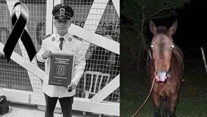 Un policía recién recibido murió tras chocar contra un caballo