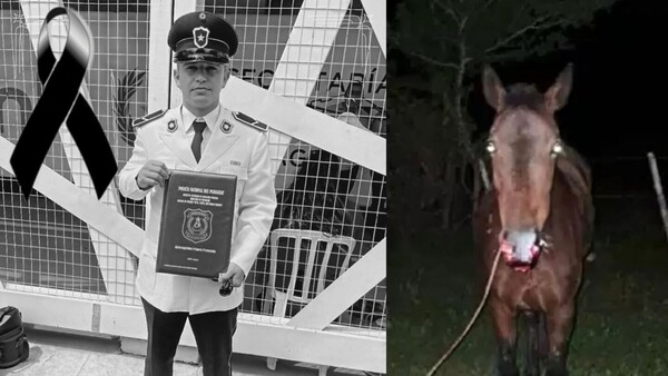 Un policía recién recibido murió tras chocar contra un caballo