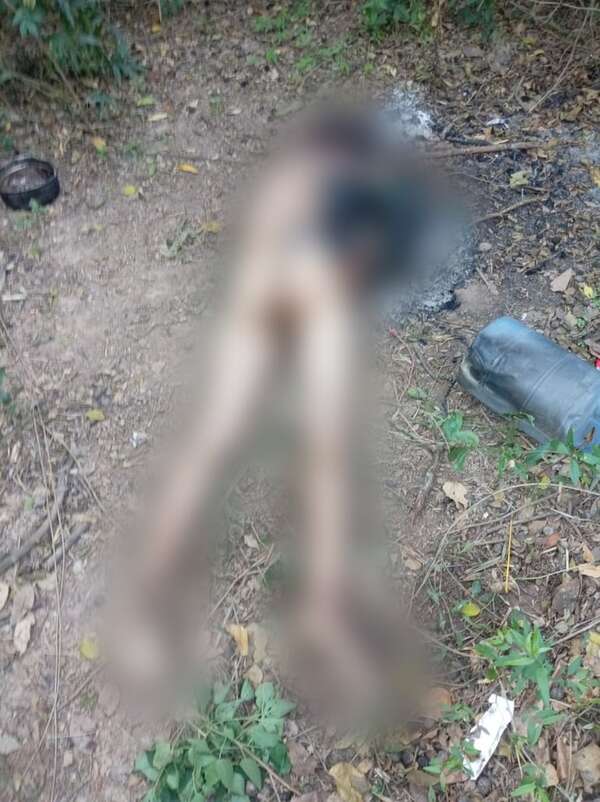 Detienen a un hombre tras hallazgo de cadáver quemado en José Falcón - Policiales - ABC Color