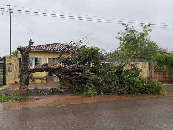 SEN entregará mañana ayuda a familias afectadas por temporal - Nacionales - ABC Color