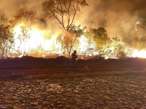 Lluvia sofocó incendio que afectó 45 % del Parque Cerro Corá