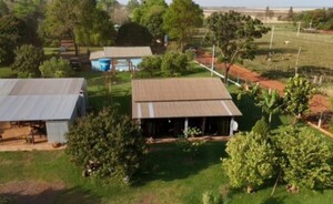 Decomisan más de 3 toneladas de marihuana en Itakyry