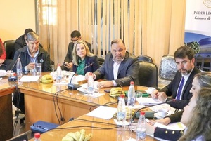 Senado tratará ley de protección a periodistas tras atentados