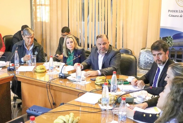 Senado tratará ley de protección a periodistas tras atentados