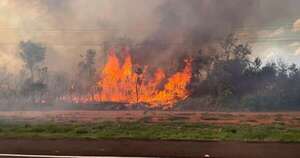 Diario HOY | Lluvias aplacaron incendio en el Parque Cerro Corá, 45 % del espacio verde fue afectado