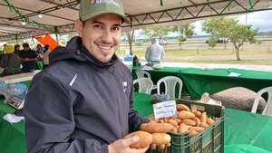Primera producción de papa nacional tempranera de variedad spunta - Nacionales - ABC Color