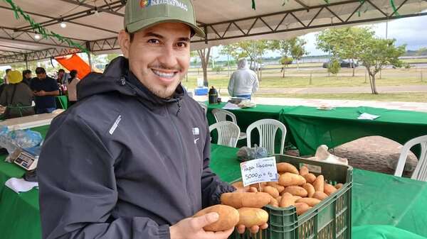 Primera producción de papa nacional tempranera de variedad spunta - Nacionales - ABC Color