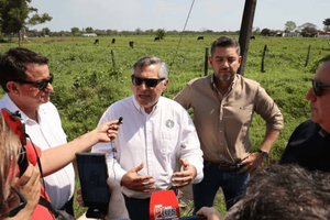 Vicepresidente anuncia construcción de 17 colegios modernos, uno por cada departamento - Noticiero Paraguay