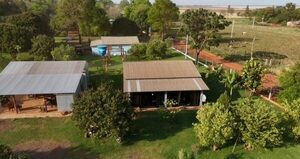 Desmantelan estructura criminal y decomisan más de 3 toneladas de marihuana en Alto Paraná