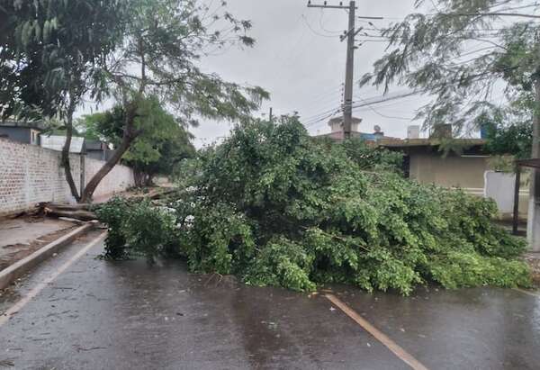 Temporal en Alto Paraná dejó sin electricidad a 74.000 usuarios - ABC en el Este - ABC Color