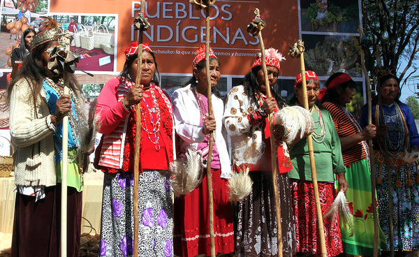 Movilización de pueblos indígenas: exigen respeto a sus territorios y reapertura del INDI | Unicanal