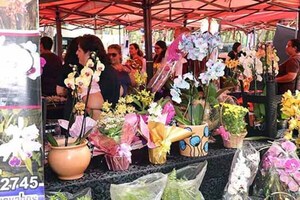 Celebran el inicio de la primavera con feria en el Parque Lineal de Ciudad del Este | DIARIO PRIMERA PLANA