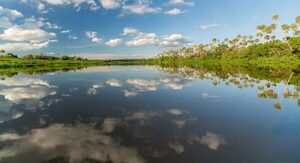 La vida silvestre y el ecoturismo en el Pantanal paraguayo necesitan protección