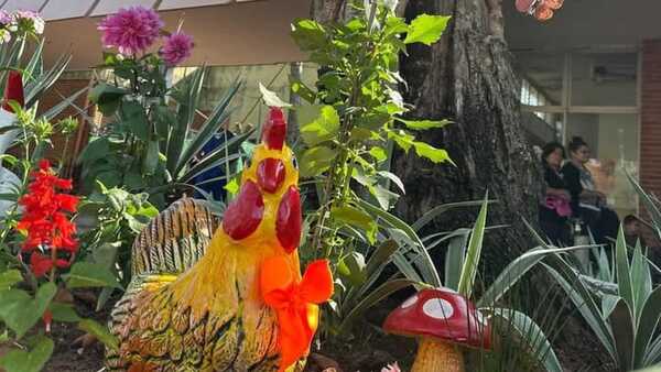 Incan inundado de flores con el concurso de jardines