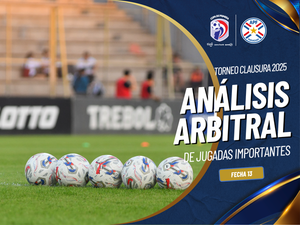 Las observaciones del capítulo 13