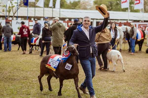 De importador a exportador: genética ovina se posiciona y busca ingresar al mercado colombiano y venezolano