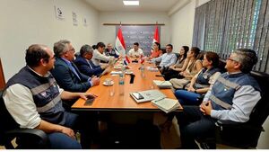 Auditoría peruana destaca fortalezas sanitarias del Paraguay; informe final será emitido en un mes