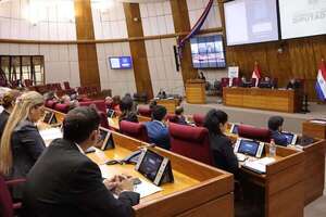 Apuro impide debate profundo de la reforma del transporte en Diputados - Política - ABC Color
