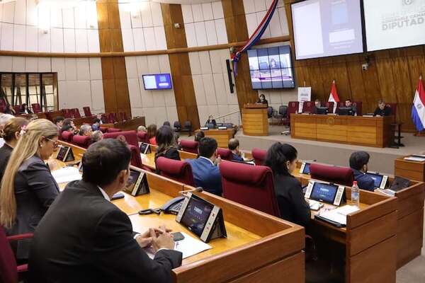Apuro impide debate profundo de la reforma del transporte en Diputados - Política - ABC Color