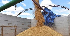 Argentina elimina temporalmente impuestos a exportaciones de granos y sus derivados
