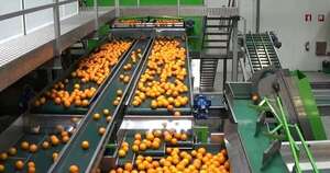 La Nación / Inflación en los precios del productor fue del 0,1 % en agosto