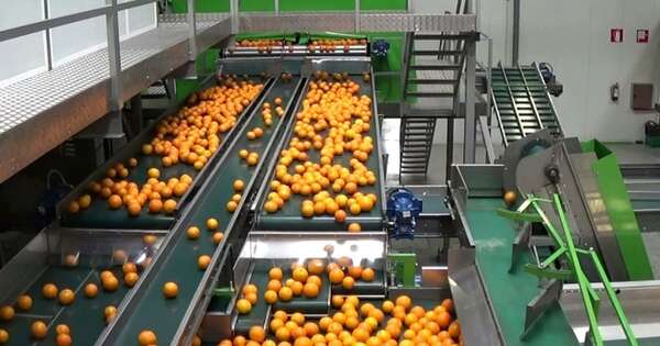 La Nación / Inflación en los precios del productor fue del 0,1 % en agosto