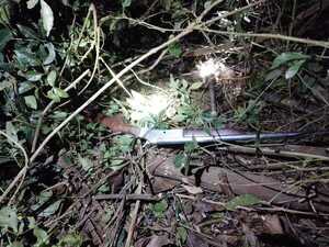 Dr. Raúl Peña: Cazador muere tras disparo accidental de escopeta - Info Alto Parana