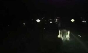 Motociclista circulaba sin luz en la ruta, fue atropellado por un auto y murió – Prensa 5