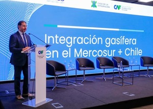 Paraguay quiere desarrollar pozos propios y así fluir gas natural, afirmó viceministro de Minas y Energía