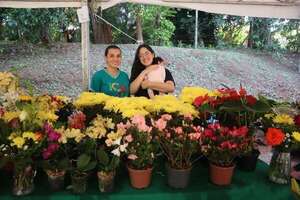 Compañía Cabañas, en Caacupé; Tobatí y San ber, invitan a sus ferias de flores, cerámicas y a la compra al aire libre - Viajes - ABC Color