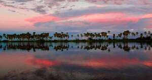 Diario HOY | Llega Biofestival, celebración de vida silvestre y ecoturismo en Pantanal paraguayo 