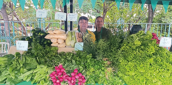 MAG presenta presupuesto 2026 enfocado en valor alimentario