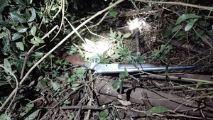 Hombre muere por disparo accidental de su escopeta durante cacería - Noticiero Paraguay