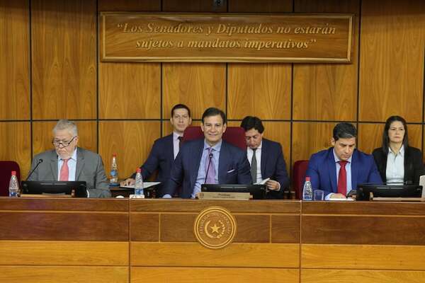 IPS revela deuda de US$ 991 millones que se arrastra de la era Cartes en reunión del Senado  - Política - ABC Color