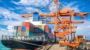 El sector importador confía en que habrá un cierre de año más positivo - Economía - ABC Color