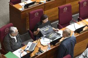Senado aprobará convención sobre DD.HH. de las Personas Mayores - Política - ABC Color