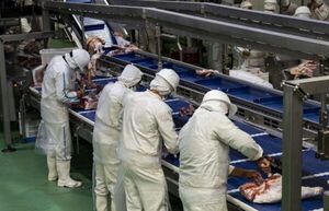 Perú en la mira: Paraguay da un nuevo paso para exportar carne porcina