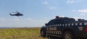 Sacan de circulación 589 toneladas de marihuana en operación Nueva Alianza 52