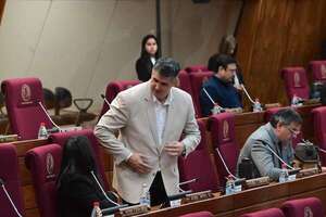 ¿Legisladores tienen miedo?: Congreso aumenta controles de ingreso - Política - ABC Color