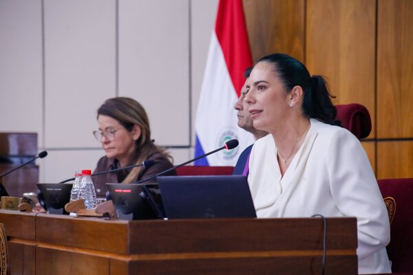 MOPC presenta presupuesto ajustado en medio de críticas por ejecución