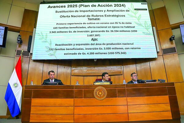 MAG plan 2026 producción nacional y pequeños agricultores