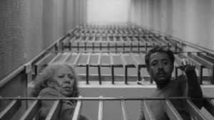 “No nos moverán”, la película que representará a México en los Óscar y los Goya - Mundo - ABC Color