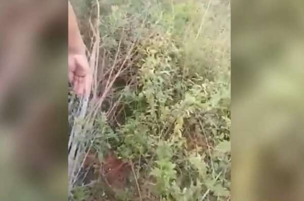 Hallan muerta a una adolescente en Limpio: harán autopsia hoy