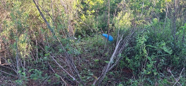 En Limpio hallan cuerpo de adolescente de 16 años en un baldío
