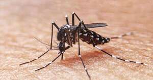 La Nación / Drones e inteligencia artificial se suman a la lucha contra el dengue