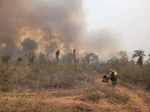 Devastador incendio en Chovoreca podría quedar impune  - Nacionales - ABC Color