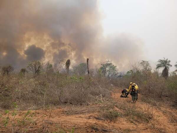 Devastador incendio en Chovoreca podría quedar impune - Nacionales - ABC Color