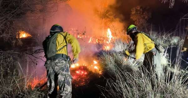 La Nación / Infona alerta por inicio de temporada de altas temperaturas y riesgo de incendios